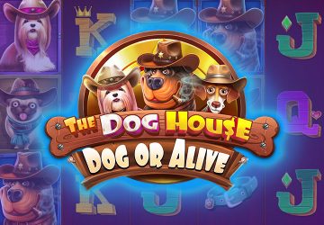 NOVOMATIC - игровой автомат онлайн от Various с RTP 96.55%